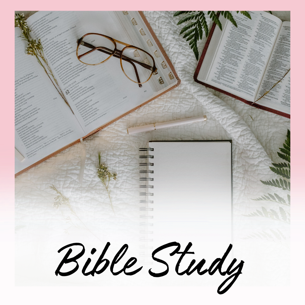 Bible Study Collection